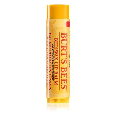 Burt’s Bees Lip Care βάλσαμο χειλιών με κερί μέλισσας (with Vitamin E & Peppermint)