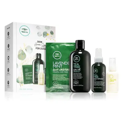 Paul Mitchell Tea Tree Σετ για σπαστά και σγουρά μαλλιά