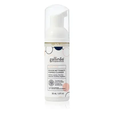 Gallinée SKIN CARE Foaming Facial Cleanser απαλός καθαριστικός αφρός Για το πρόσωπο ml