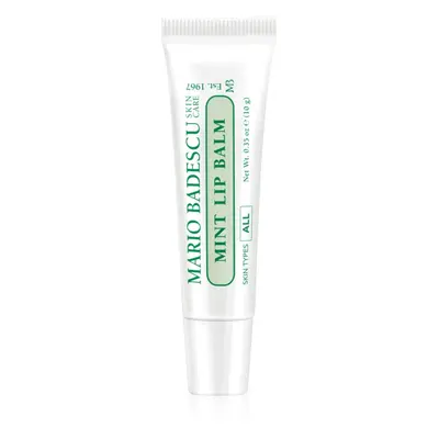 Mario Badescu Mint Lip Balm Ultra θρεπτικό βάλσαμο χειλιών