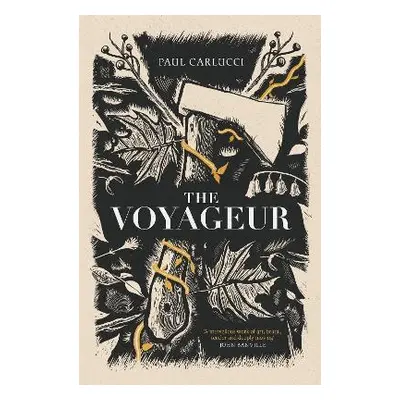 The Voyageur: 'Marvellous work of art' John Banville Paul Carlucci Swift Press