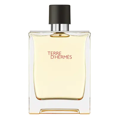 Hermès Terre d'Hermès Eau de Toilette - 107748V0